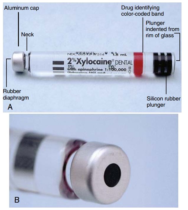 A. Cấu tạo ống thuốc tê nha khoa. B. Nắp nhôm và màng cao su (không chứa nhựa latex).