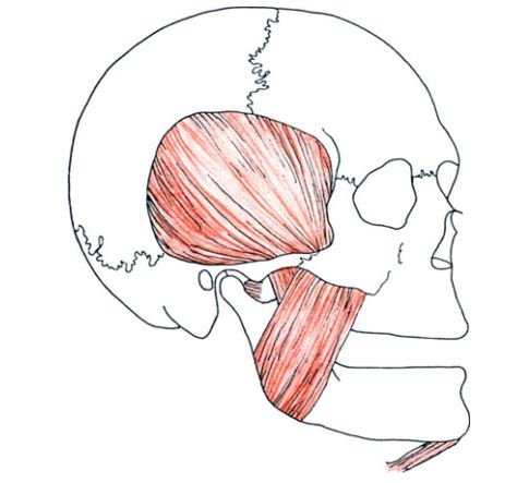 Tương quan trung tâm ở bệnh nhân mất răng toàn bộ.