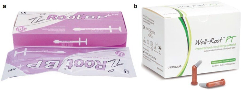Vật liệu bioceramic loại putty iRoot®BP Plus và Well-Root ™ PT.